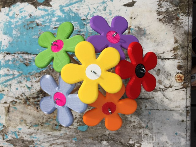2017-08-21 Flowers-IMG_2489 (Small)-038